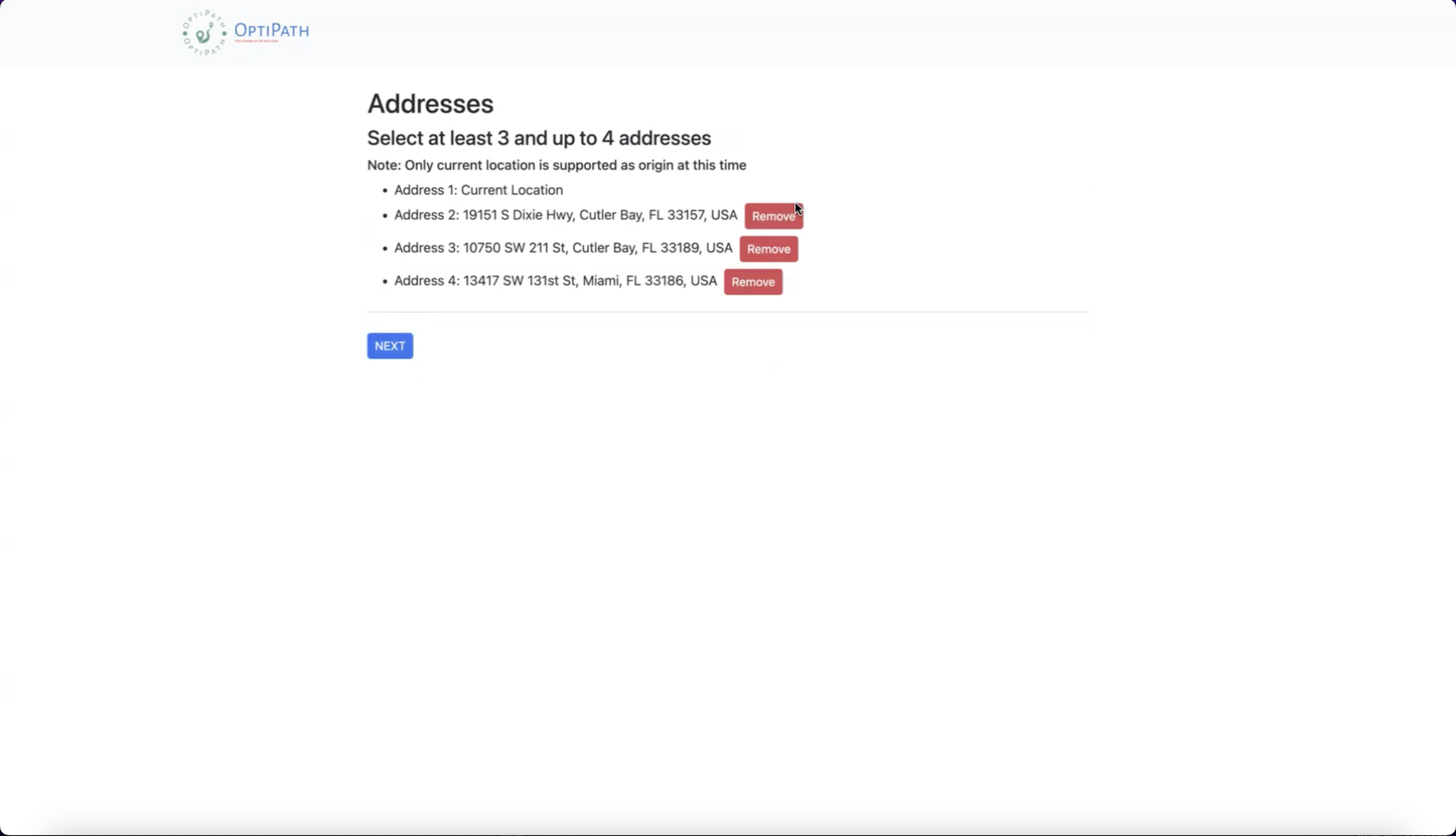 Earlier OptiPath interface concept